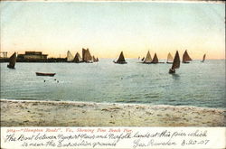 Showing Pine Beach River Postcard