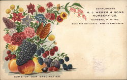 Compliments H.J. Weber & Sons Nursery Co. Postcard