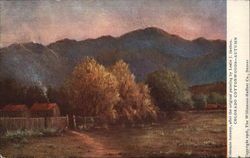 Colorado Cottonwoods - Autumn Postcard