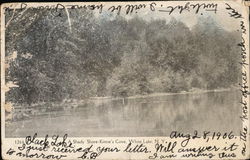A Shady Shore - Kinne's Cove White Lake, NY Postcard Postcard Postcard