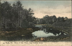 Head of the Tide Water, Cape Neddick River York, ME Postcard Postcard Postcard