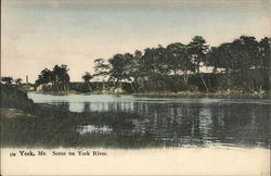 Scene on York River Maine Postcard Postcard Postcard