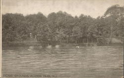 Picnic Grounds, Alcyon Park Pitman, NJ Postcard Postcard Postcard