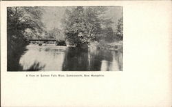 A View on Salmon Falls River Somersworth, NH Postcard Postcard 