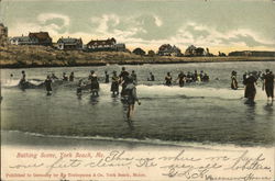 Bathing Scene York Beach, ME Postcard Postcard Postcard