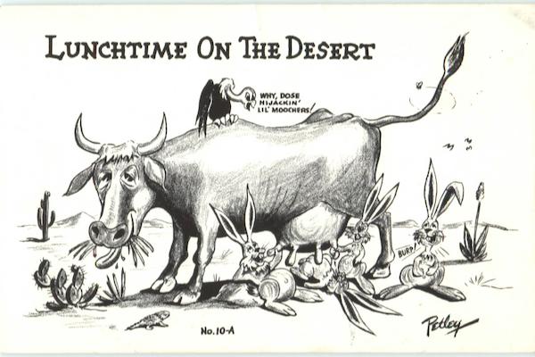 Lunchtime On The Desert Bob Petley Comic, Funny