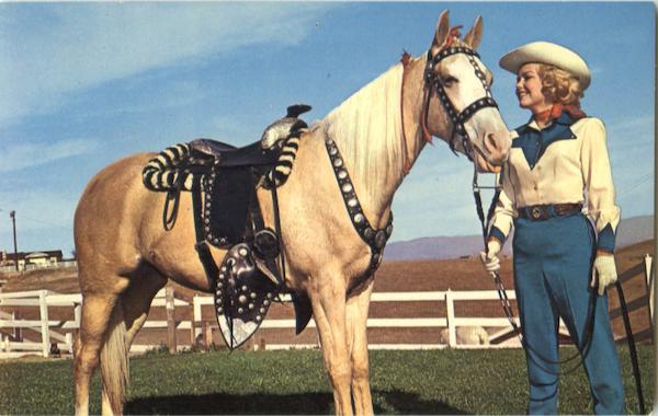 Cowgirl with Palomino Cowboy Western