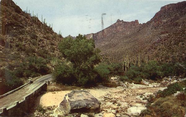 Sabino Canyon Tucson Arizona