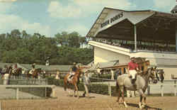 River Downs Postcard