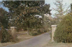 Entrance To Sam Houston State Teachers College Postcard