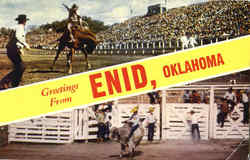 Greetings From Enid Postcard