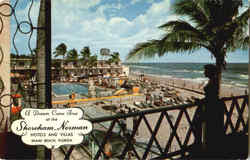 The Shoreham Norman Miami Beach, FL Postcard Postcard
