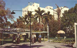 Hotel Dixie Grande & Park Bradenton, FL Postcard Postcard
