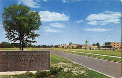 Michigan State University Postcard