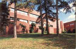 University Of Missouri Postcard