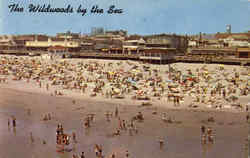 The Wildwoods By The Sea Postcard