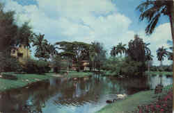 Miami Springs Villas, 500 Deer Run Postcard