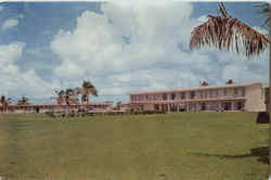 Flamingo Lodge Florida Postcard Postcard