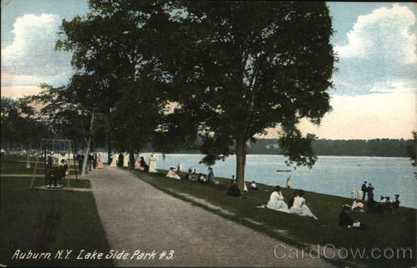 Lake Side Park #3 Auburn New York