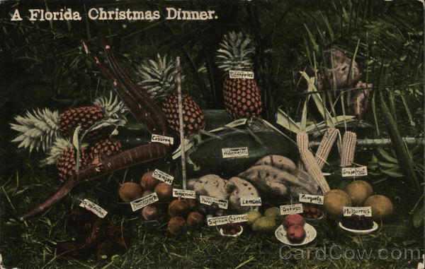 A Florida Christmas Dinner