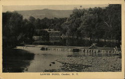 Lower Pond Candor, NY Postcard Postcard Postcard