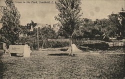 Scene in the Park Postcard