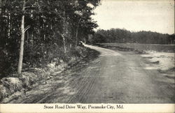 Stone Road Drive Way Postcard