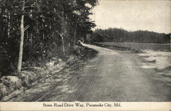 Stone Road Drive Way Postcard