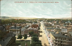 Bird's Eye View from Security Building Postcard