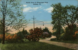 North Drive in Riverview Park Quincy, IL Postcard Postcard Postcard