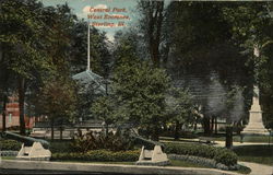 Central Park, West Entrance Postcard