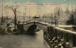 Bridge in Winter, Glen Oak Park Peoria, IL Postcard Postcard Postcard