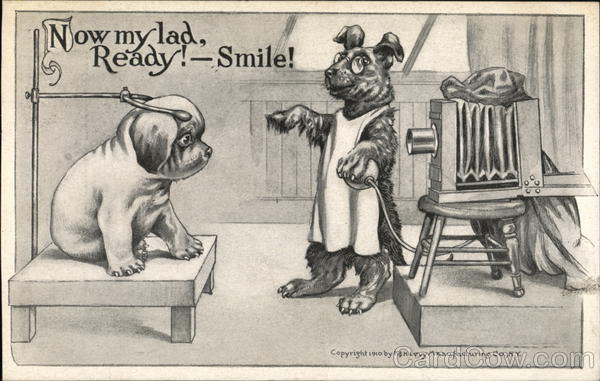 Now my lad, Ready!--Smile! Dog Photographer Dogs