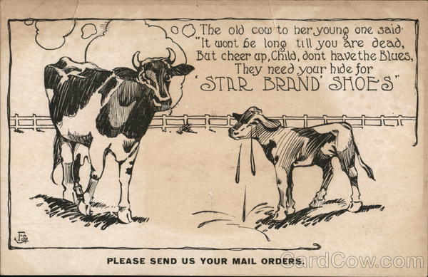 Star Brand Shoes Advertising