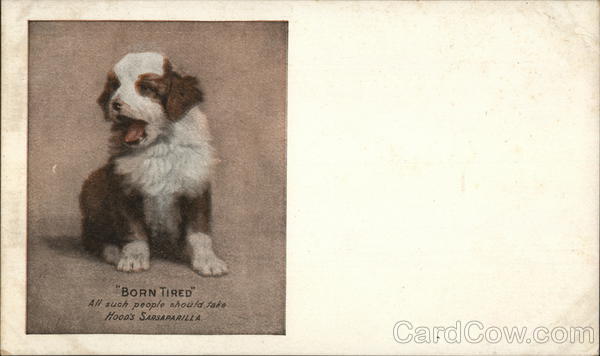 Born Tired Yawning Puppy Advertising