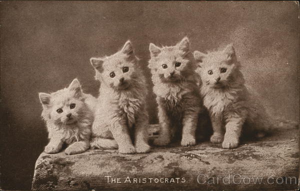 The Aristrocrats Cats