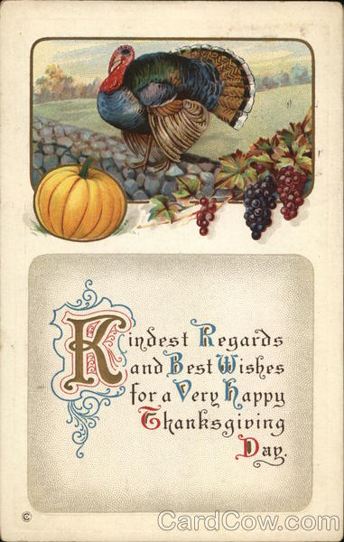 Turkey Standing on a Wall Turkeys