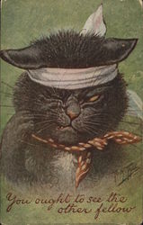 Black cat with bandage wrapped around it's head and a swollen eye. Postcard