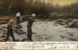 Trout Fishing Canada Postcard Postcard Postcard