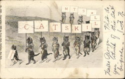 Catskill Mts. Postcard Postcard Postcard