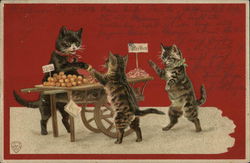 Playful Kittens Cats Postcard Postcard Postcard
