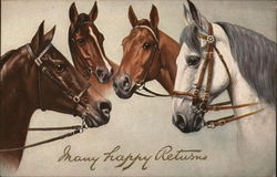 Many Happy Returns Horses Postcard Postcard Postcard