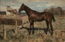 Painting of Horse Near Racetrack Horses Postcard Postcard Postcard