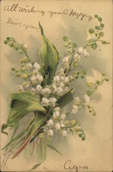 Flowers C. Klein Postcard Postcard Postcard