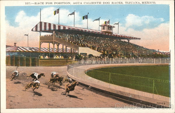 Agua Caliente Dog Races Tijuana Mexico