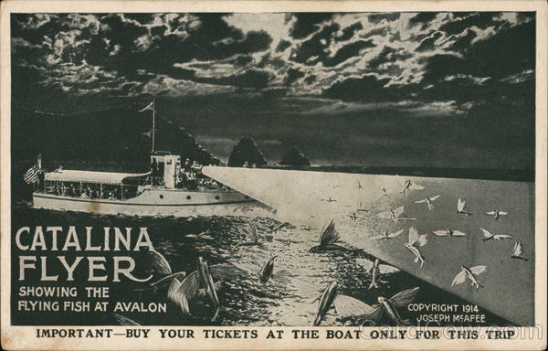 Catalina Excursion Co Avalon California