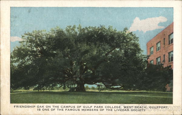 Gulf Park College - Friendship Oak Gulfport Mississippi