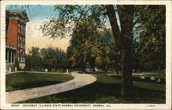 Driveway, Illinois State Normal University Postcard