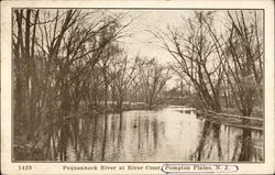 Pequannock River at River Crest Postcard
