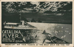 Catalina Excursion Co Avalon, CA Postcard Postcard Postcard